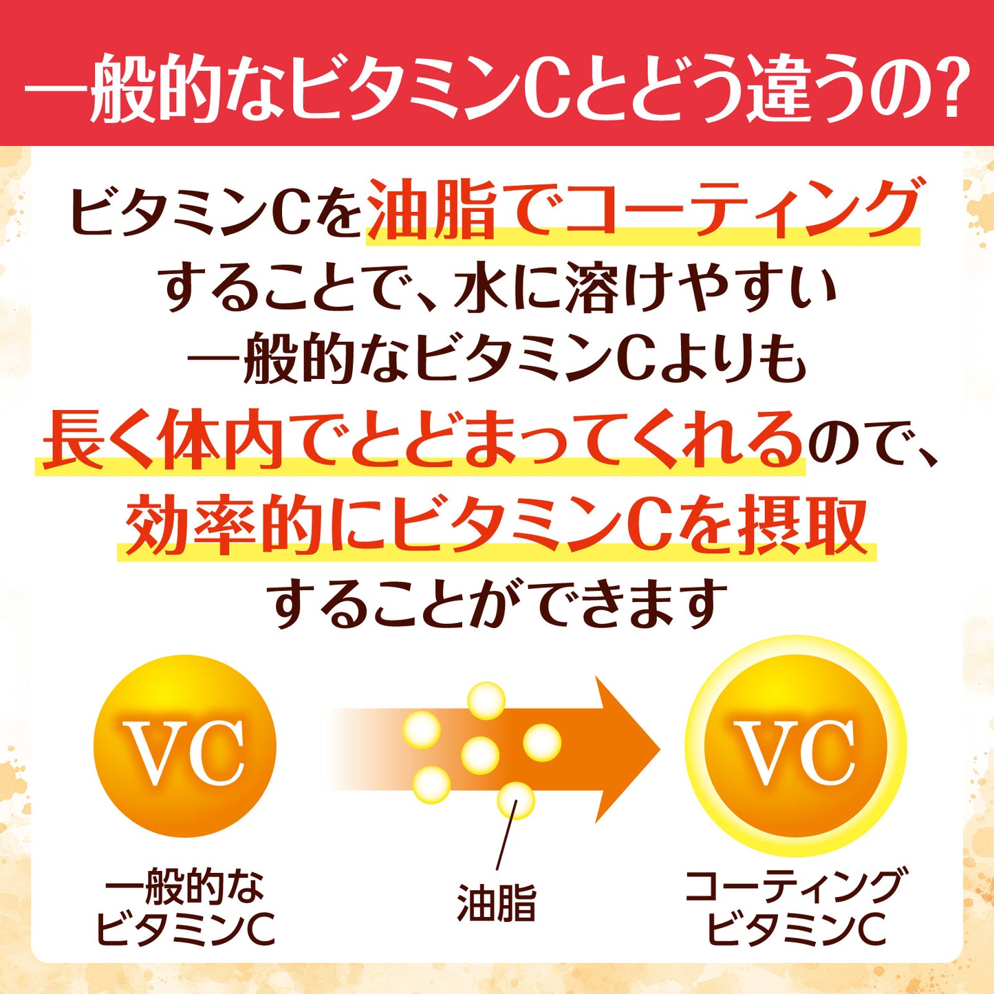 【送料無料】濃密VCコート 30本 (１箱)