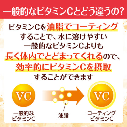 【送料無料】濃密VCコート 30本 (１箱)